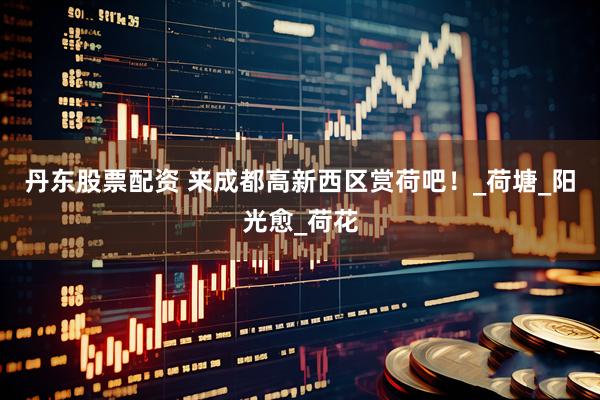 丹东股票配资 来成都高新西区赏荷吧！_荷塘_阳光愈_荷花